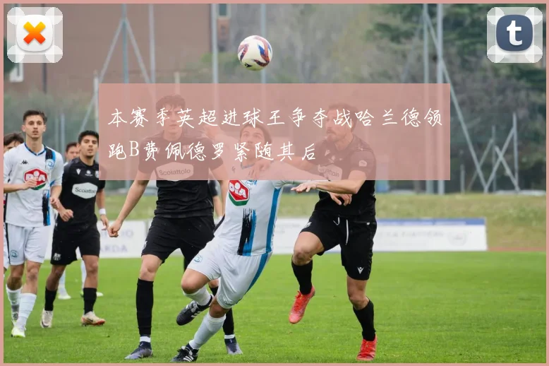 本赛季英超进球王争夺战哈兰德领跑B费佩德罗紧随其后